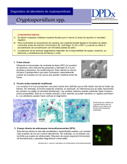 Puntos clave para el diagnóstico de laboratorio de cryptosporidiosis