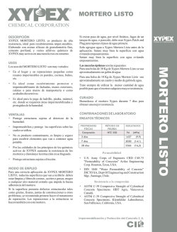 FICHA TECNICA MORTERO LISTO