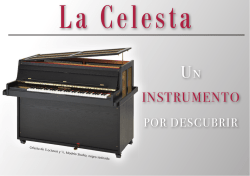 INSTRUMENTO - Schiedmayer Celesta GmbH