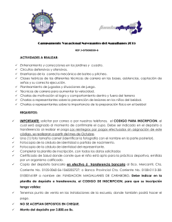 Información General - Navegantes del Magallanes