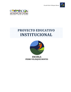 P.E.I. - Escuela Pedro Velásquez Bontes