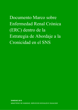 Documento Marco sobre Enfermedad Renal Cr&oacute;nica
