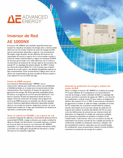 Inversor de Red AE 1000NX