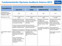 fundamentos opciones auditoria externa 2015