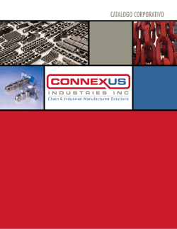 sistemasintegrales - Connexus Industries Inc