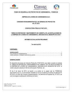 Informe de Evaluacion Preliminar IP-007-2015