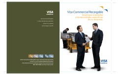 folder - Visa | Internet Services