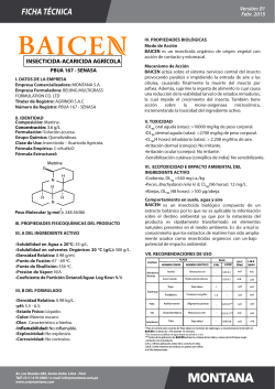 ficha t&eacute;cnica