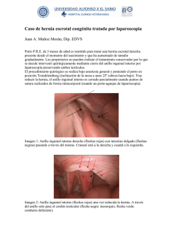 Hernia Escrotal en un potro PRE