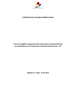 Términos de referencia - Corporación Colombiana Internacional