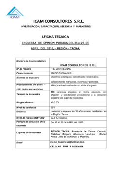 ICAM CONSULTORES S.R.L.
