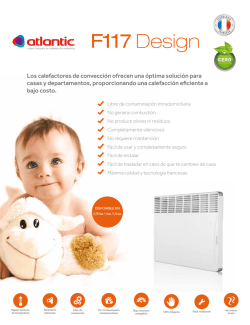 Fichas F117 (vfinal)