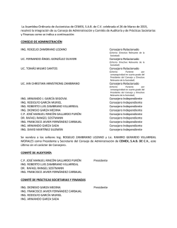 Integraci&oacute;n del Consejo de Administraci&oacute;n y de los