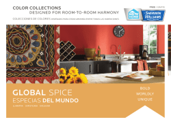 GLOBAL SPICE - PaintOn.com