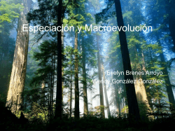 Especiación y Macroevolución