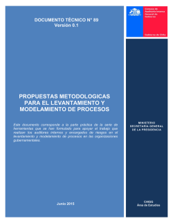 Documento T&eacute;cnico N&ordm;89 - Consejo de Auditor&iacute;a Interna General de
