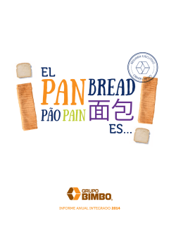 Resumen - Grupo Bimbo
