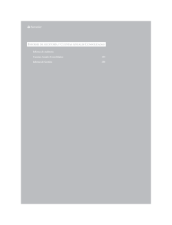 Informe de Auditor&iacute;a y Cuentas Anuales 2006
