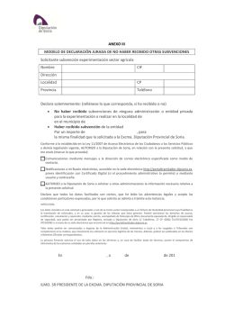 ANEXO III MODELO DE DECLARACI&Oacute;N JURADA DE NO HABER