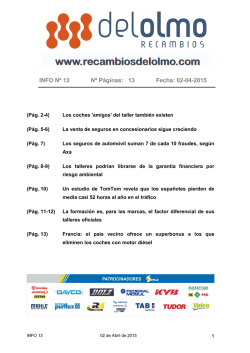 INFO 13 - Recambios Del Olmo