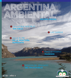 Revista Argentina Ambiental Nº 62 en pdf