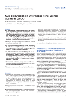 Gu&iacute;a de nutrici&oacute;n en Enfermedad Renal Cr&oacute;nica Avanzada