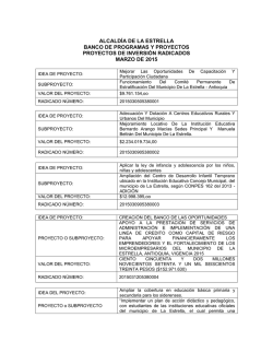 PROYECTOS DE INVERSIÓN