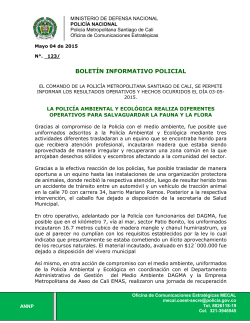 BOLETÍN INFORMATIVO POLICIAL Reporte 04-05
