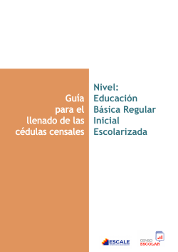 Gu&iacute;a para el llenado de las c&eacute;dulas censales Nivel