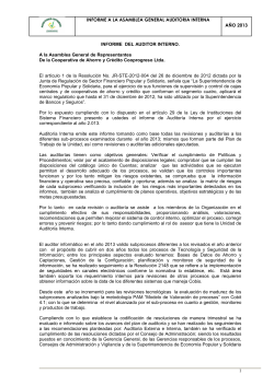 informe de auditoria 2013