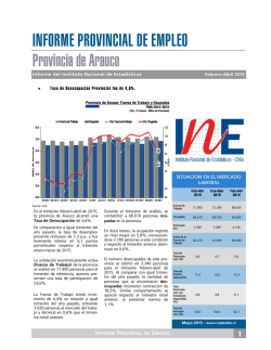 INFORME PROVINCIAL DE EMPLEO Provincia de Arauco