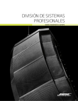 DIVISI&Oacute;N DE SISTEMAS PROFESIONALES