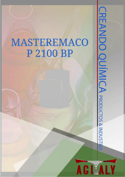 MasterEmaco P 2100 BP
