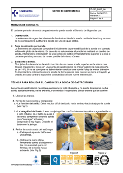Sonda de gastrostom&iacute;a en Urgencias. Protocolo