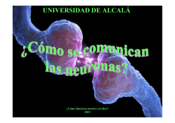 Tema 3 - Universidad de Alcalá