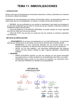 TEMA 11. INMOVILIZACIONES
