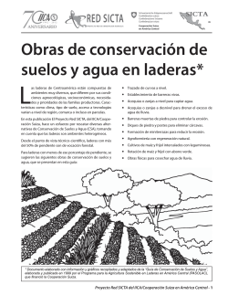 Obras de conservación de suelos y agua en laderas*