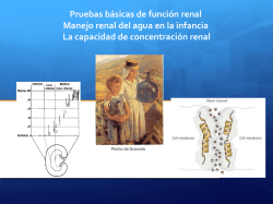 Concentración renal