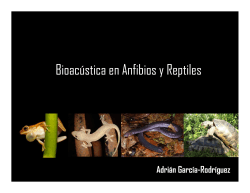 Bioacústica en Anfibios y Reptiles