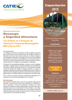 Diplomado Internacional Bioenergía y Seguridad Alimentaria