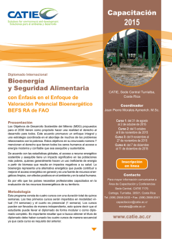 Diplomado Internacional Bioenerg&iacute;a y Seguridad Alimentaria