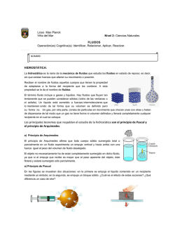 Gu&iacute;a Estudio Fluidos