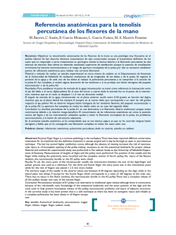 referencias anat&oacute;micas para la tenolisis percut&aacute;nea de