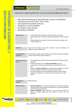 Ficha T&eacute;cnica weber.tec hydrolastic