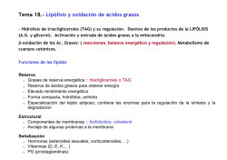Tema 18.- Lip&oacute;lisis y oxidaci&oacute;n de &aacute;cidos grasos