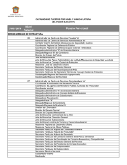Jerarqu&iacute;a Nivel Salarial Puesto Funcional