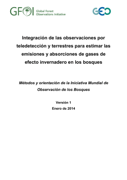 Integraci&oacute;n de las observaciones por teledetecci&oacute;n y