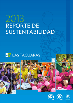 Reporte de Sustentabilidad 2013