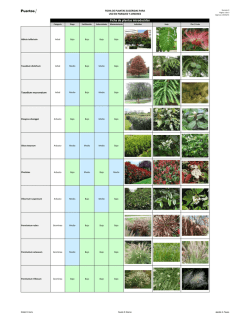 FICHA DE PLANTAS Rev 2.xlsx