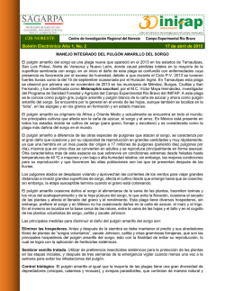 Nota - cirne